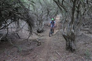 rhino-trails-mountain-biking (10)