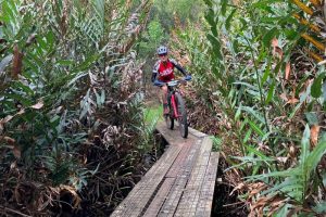 rhino-trails-mountain-biking (25)