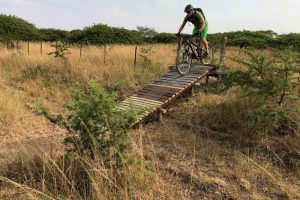 rhino-trails-mountain-biking (28)