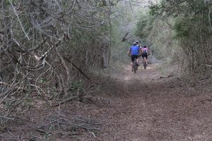 rhino-trails-mountain-biking (6)