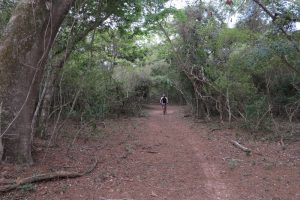 rhino-trails-mountain-biking (9)